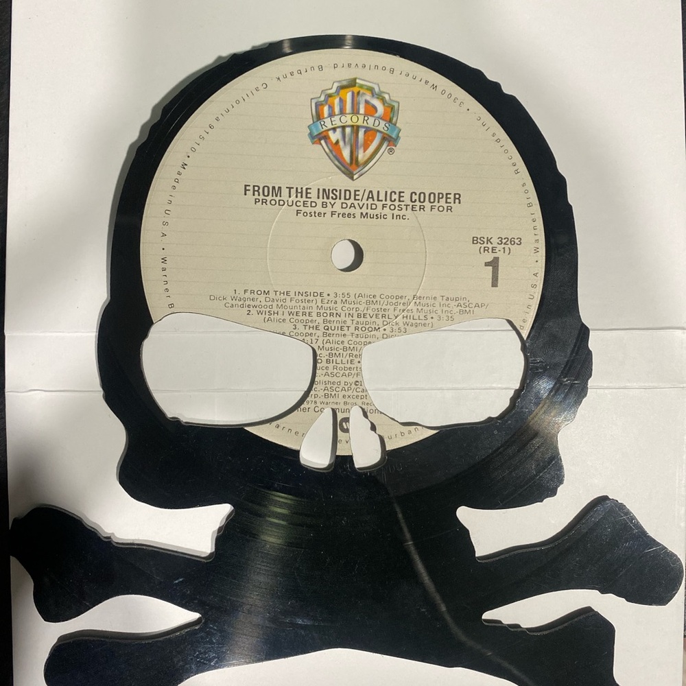 Skull Vinyl Record Art